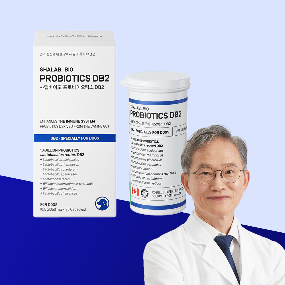 [7일분 추가증정] 서울대 교수개발 샤랩바이오 강아지 유산균 면역 프로바이오틱스 DB2 영양제 장 건강 30포, 1개