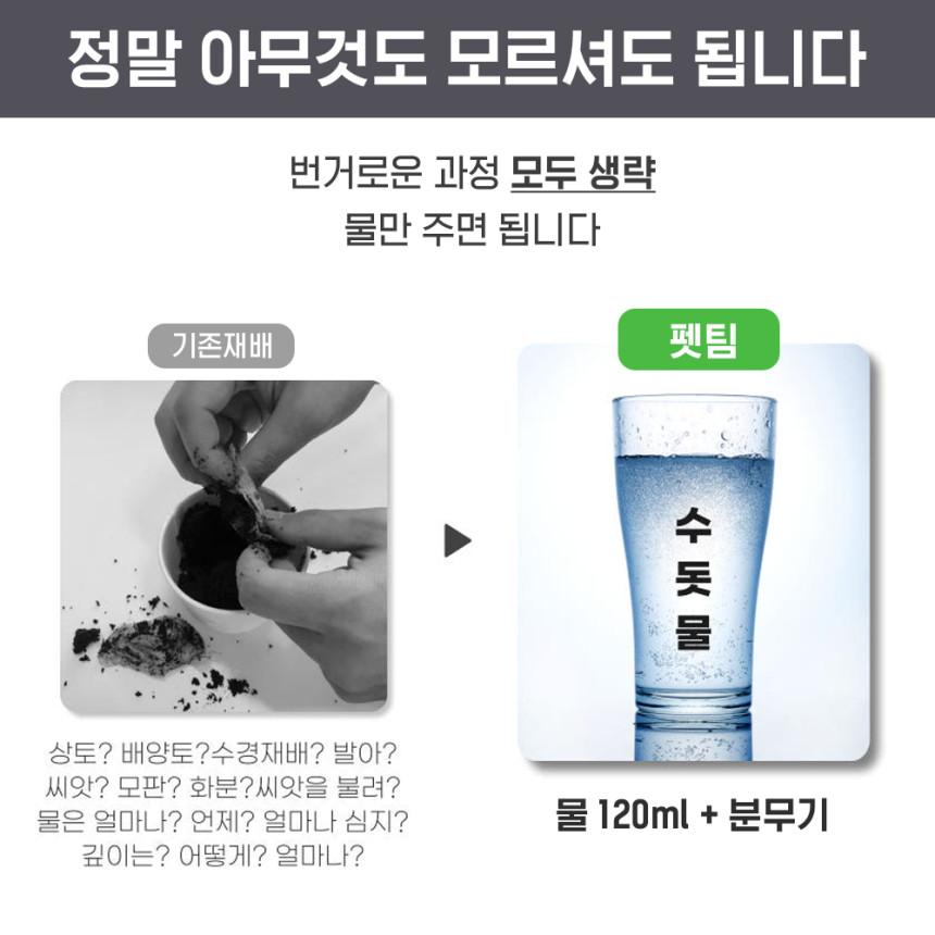 펫팀 고양이 캣그라스 재배키트 고양이풀 새싹보리 사진 4