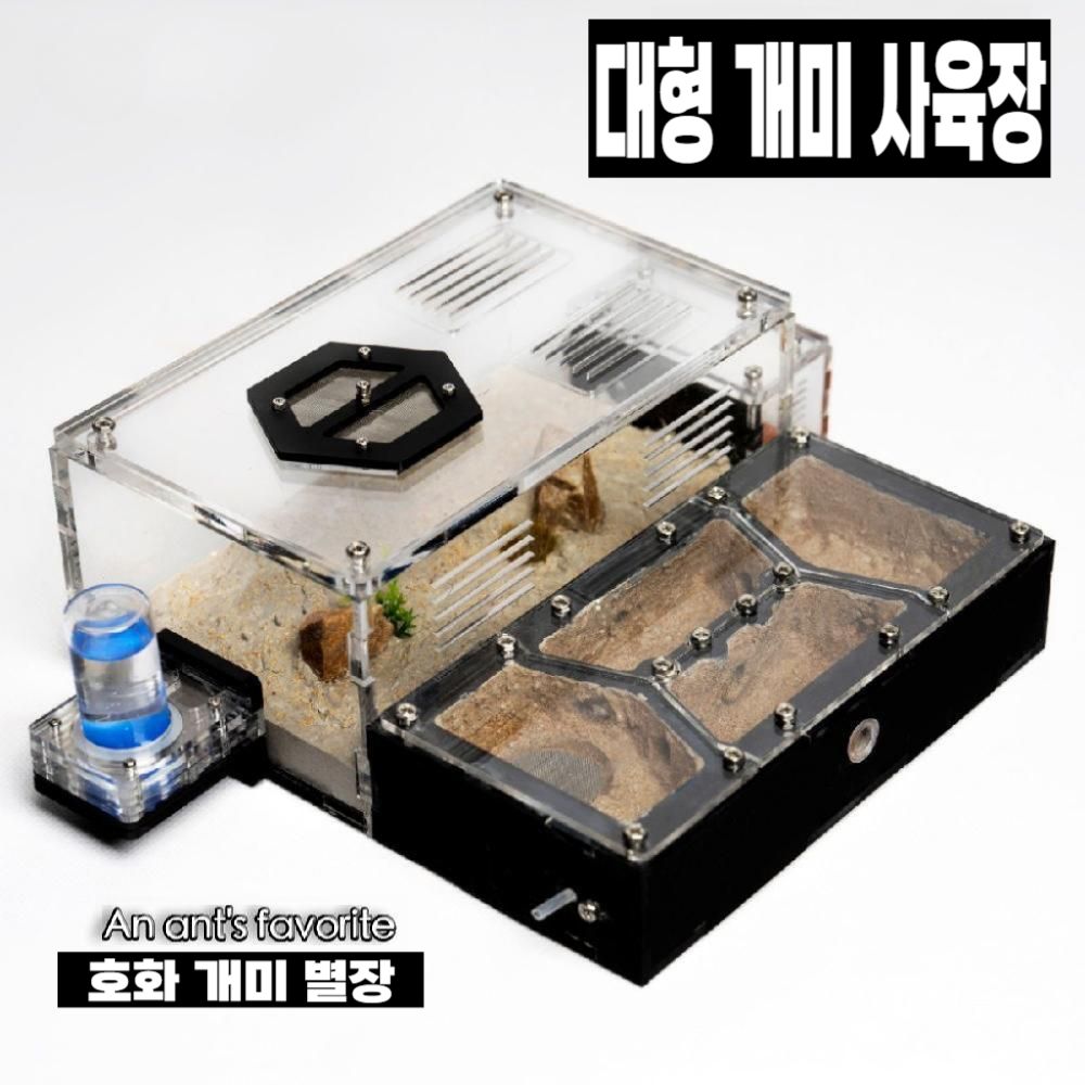 아크릴 개미집 대형 개미 사육장 개미굴 앤트하우스 개미관찰키트 / 메인네스트 단품 - 상세 이미지 5