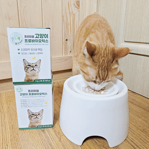 응가아저씨 프리미엄 고양이 프로바이오틱스 30포x3박스 설사 변비 항비만 3000억 유산균