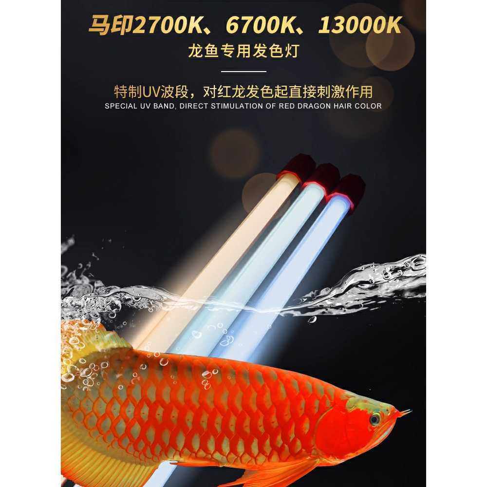 홍용 태닝등 LED 수중등 어항 램프 열대어 발색 컬러 92cm - 상세 이미지 4