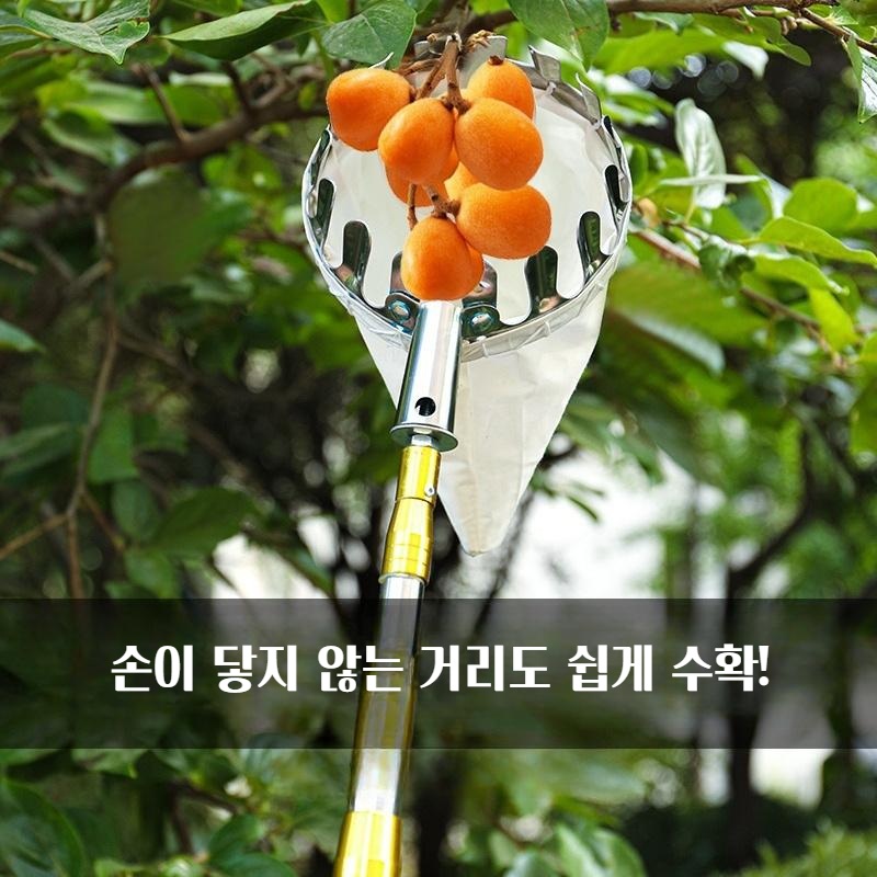 길이조절 가능한 스테인리스 과일 수확 도구 사과 배 감 수확 - 메인 이미지