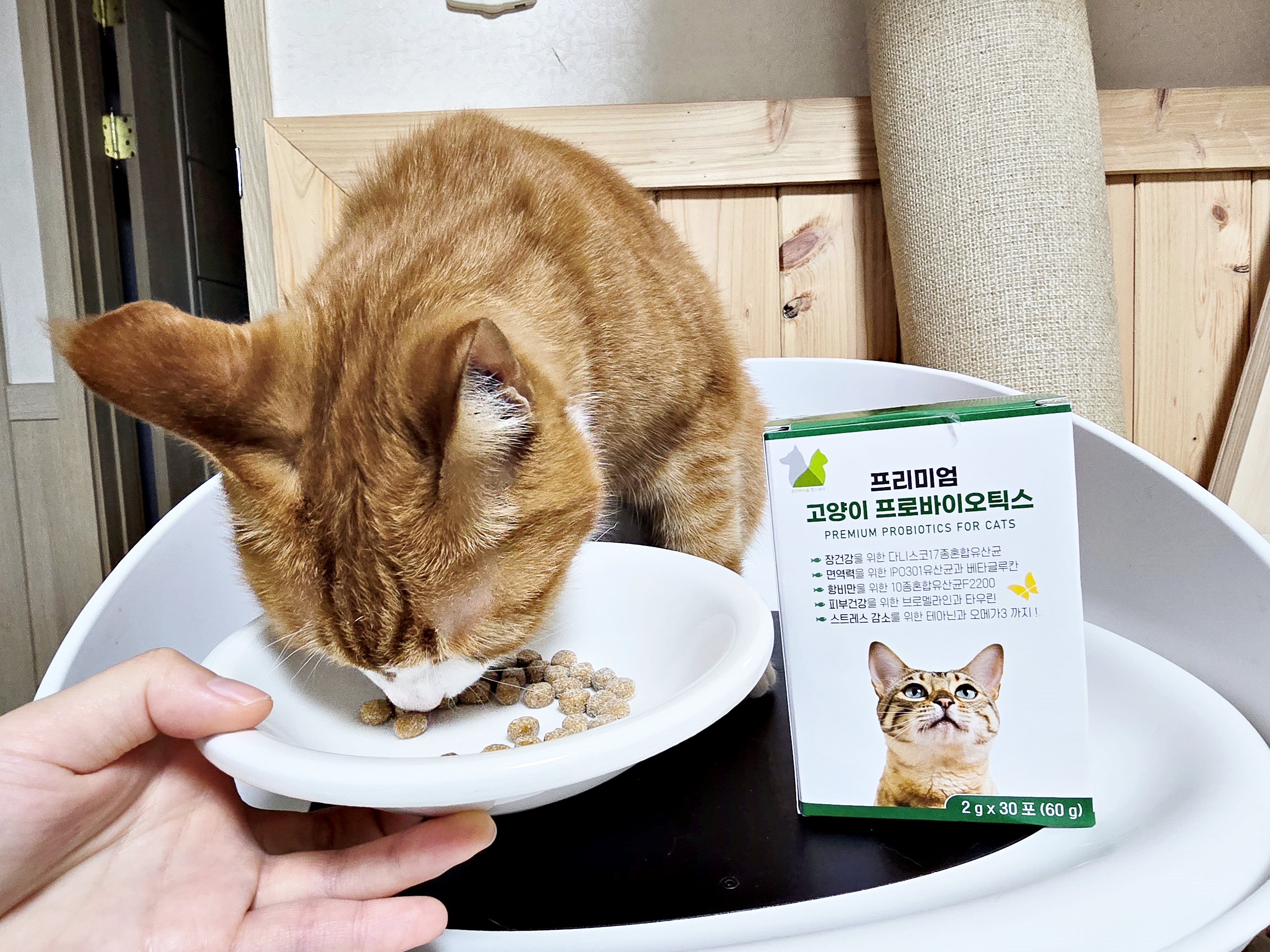 응가아저씨 프리미엄 고양이 프로바이오틱스 30포x3박스 설사 변비 항비만 3000억 유산균
