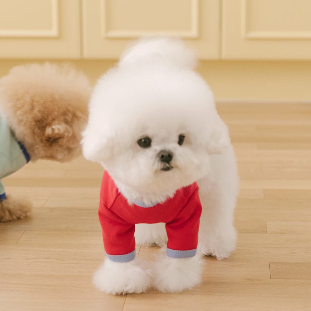 강아지 실내복 봄옷 강아지옷 소형견 티셔츠 큐티라벨 이미지 4