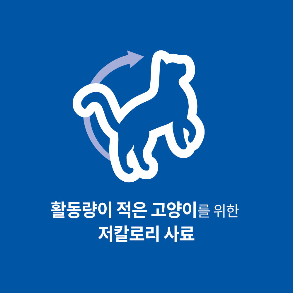 힐스 고양이사료 어덜트 라이트 2kg x 2개