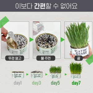 펫팀 고양이 캣그라스 재배키트 고양이풀 새싹보리 솔직 후기 | 실제 사용자 리뷰 총정리 - 상품 이미지 4