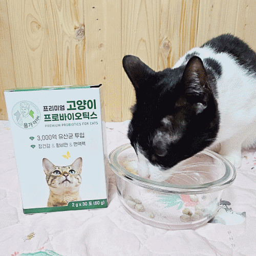응가아저씨 프리미엄 고양이 프로바이오틱스 30포x3박스 설사 변비 항비만 3000억 유산균