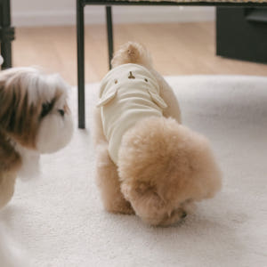 [강아지의날]강아지옷 애견 실내복 티셔츠 아임베어 솔직 후기 | 실제 사용자 리뷰 총정리 - 상품 이미지 2