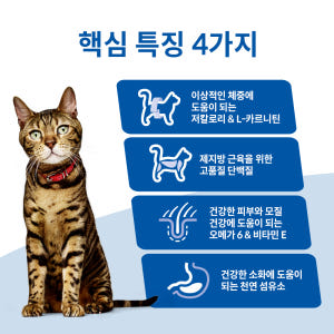 힐스 고양이사료 어덜트 라이트 2kg 솔직 후기 | 실제 사용자 리뷰 총정리 - 상품 이미지 3