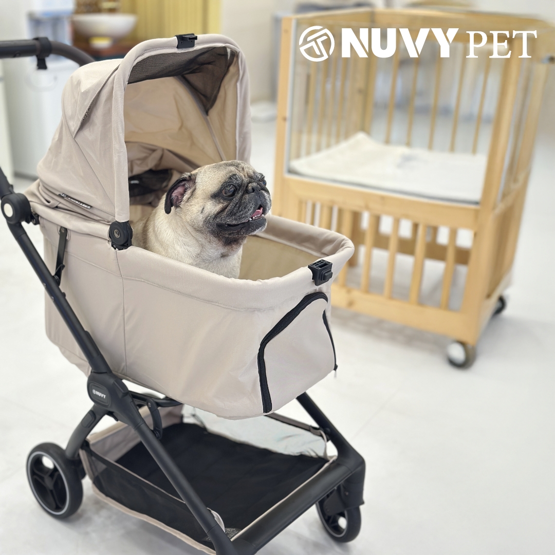 오토폴딩 강아지유모차 NUVY 누비 펫유모차 반려견 개모차 노견 산책 샌드베이지, FREE(One size)