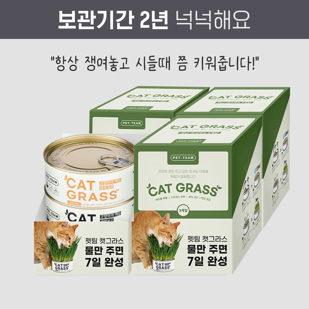 펫팀 캣그라스 고양이풀 3종 새싹보리+새싹귀리+새싹밀 이미지 4