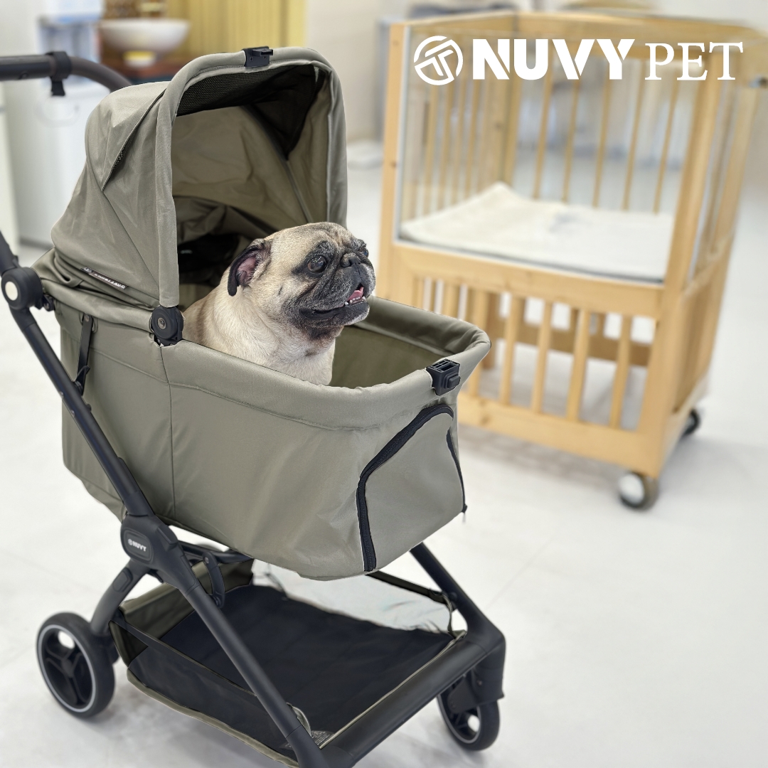 오토폴딩 강아지유모차 NUVY 누비 펫유모차 가벼운 개모차 애견 노견산책 헤이즐그린, FREE(One size)