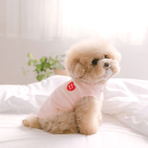 강아지 옷 애견 소형견 실내복 티셔츠 데일리하트 솔직 후기 | 실제 사용자 리뷰 총정리 - 상품 이미지 3