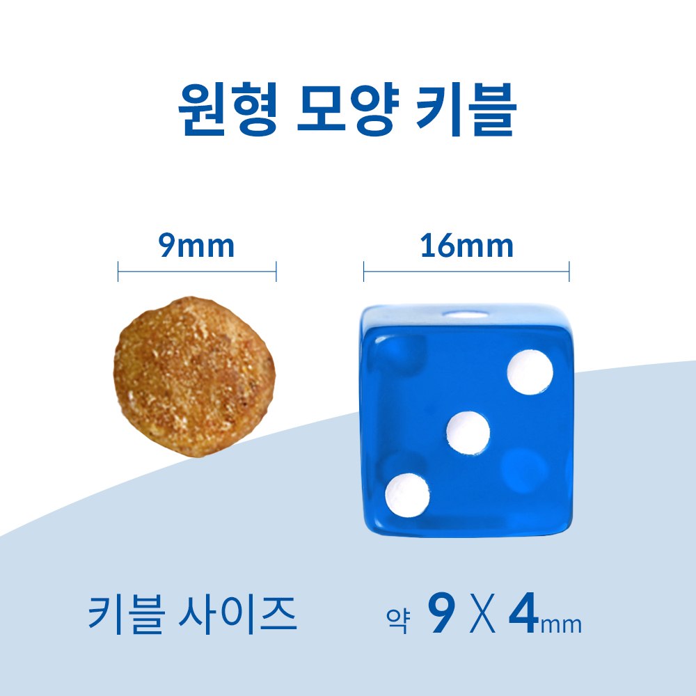 힐스 고양이사료 어덜트 라이트 2kg x 2개