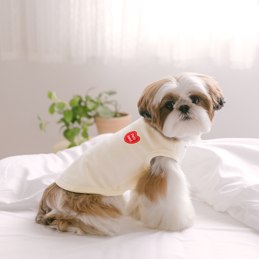 강아지 옷 애견 소형견 실내복 티셔츠 데일리하트 이미지 2