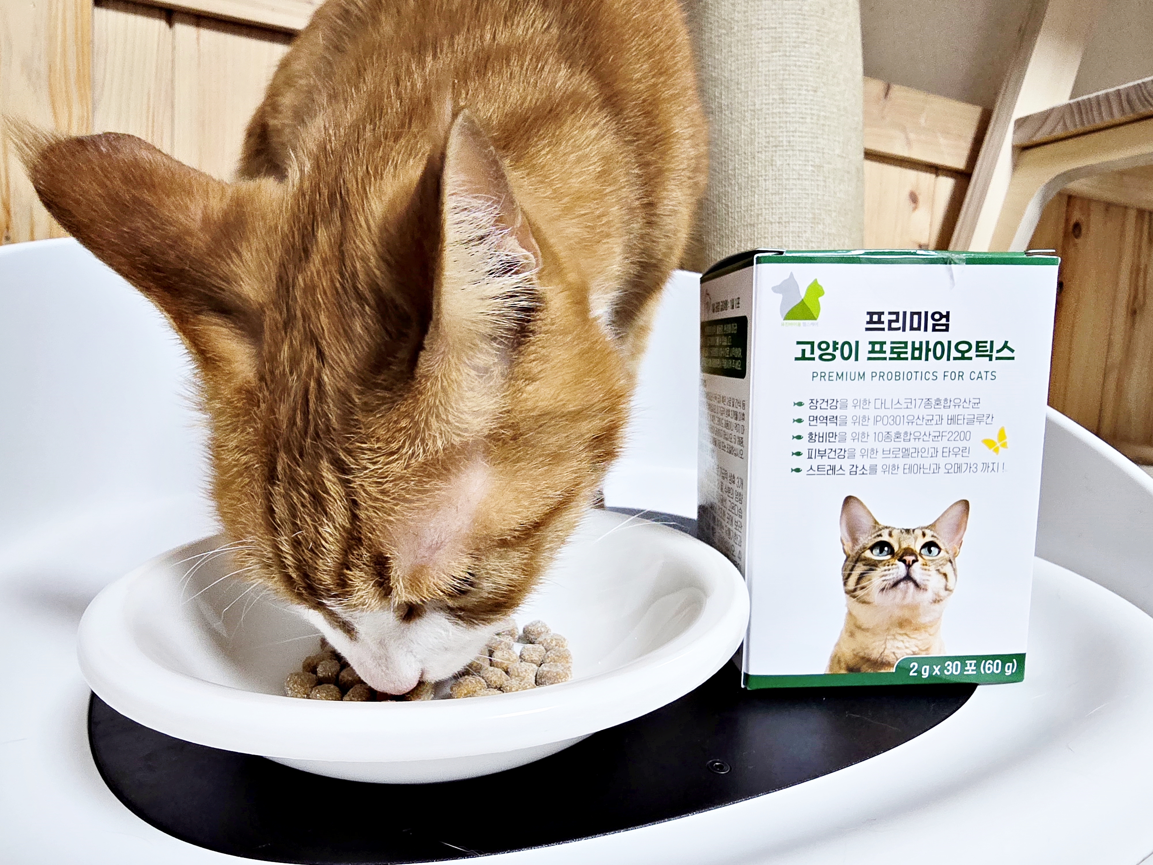 응가아저씨 고양이 프로바이오틱스 30포+30포 3000억 설사변비 항비만 면역력 유산균