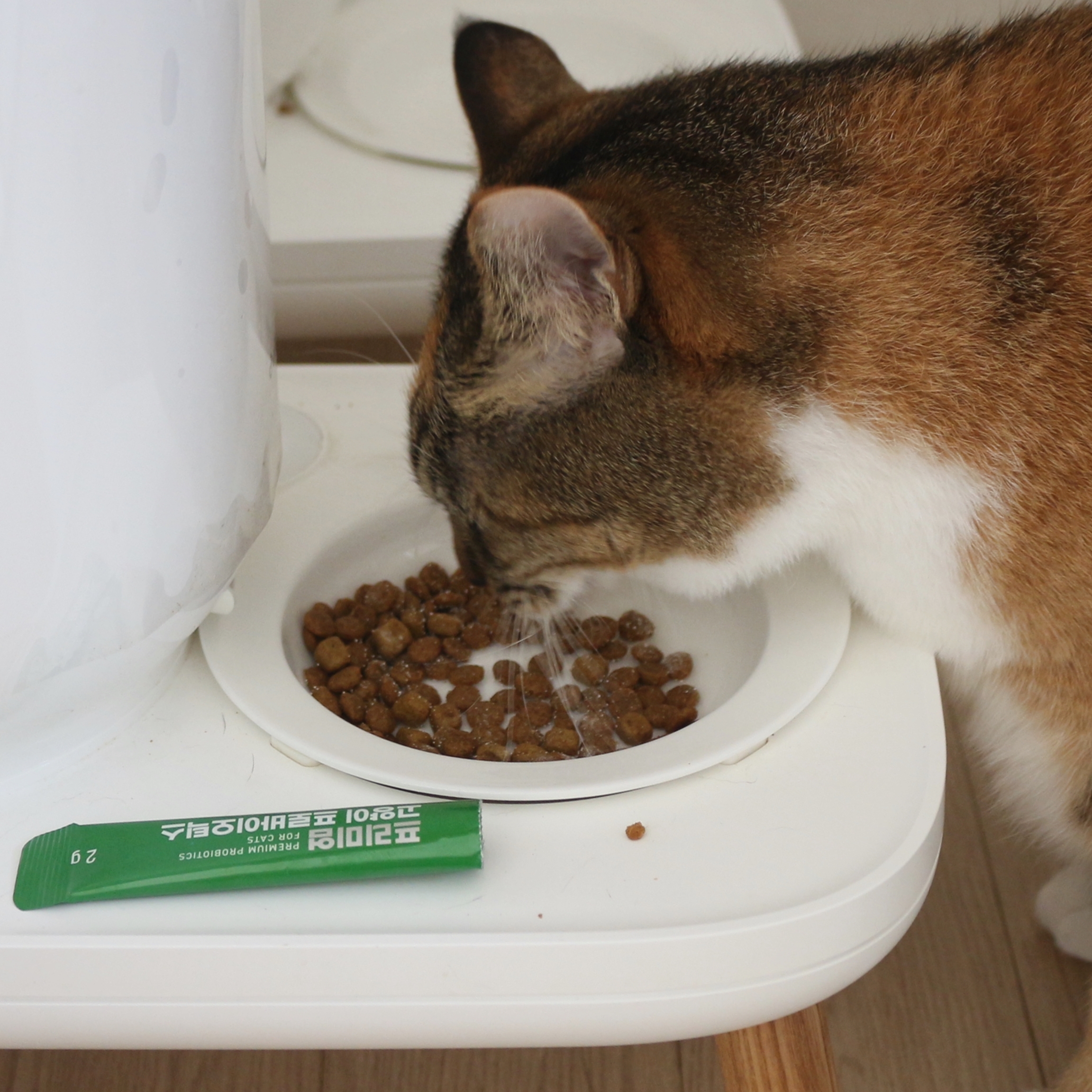 응가아저씨 프리미엄 고양이 프로바이오틱스 30포x3박스 설사 변비 항비만 3000억 유산균