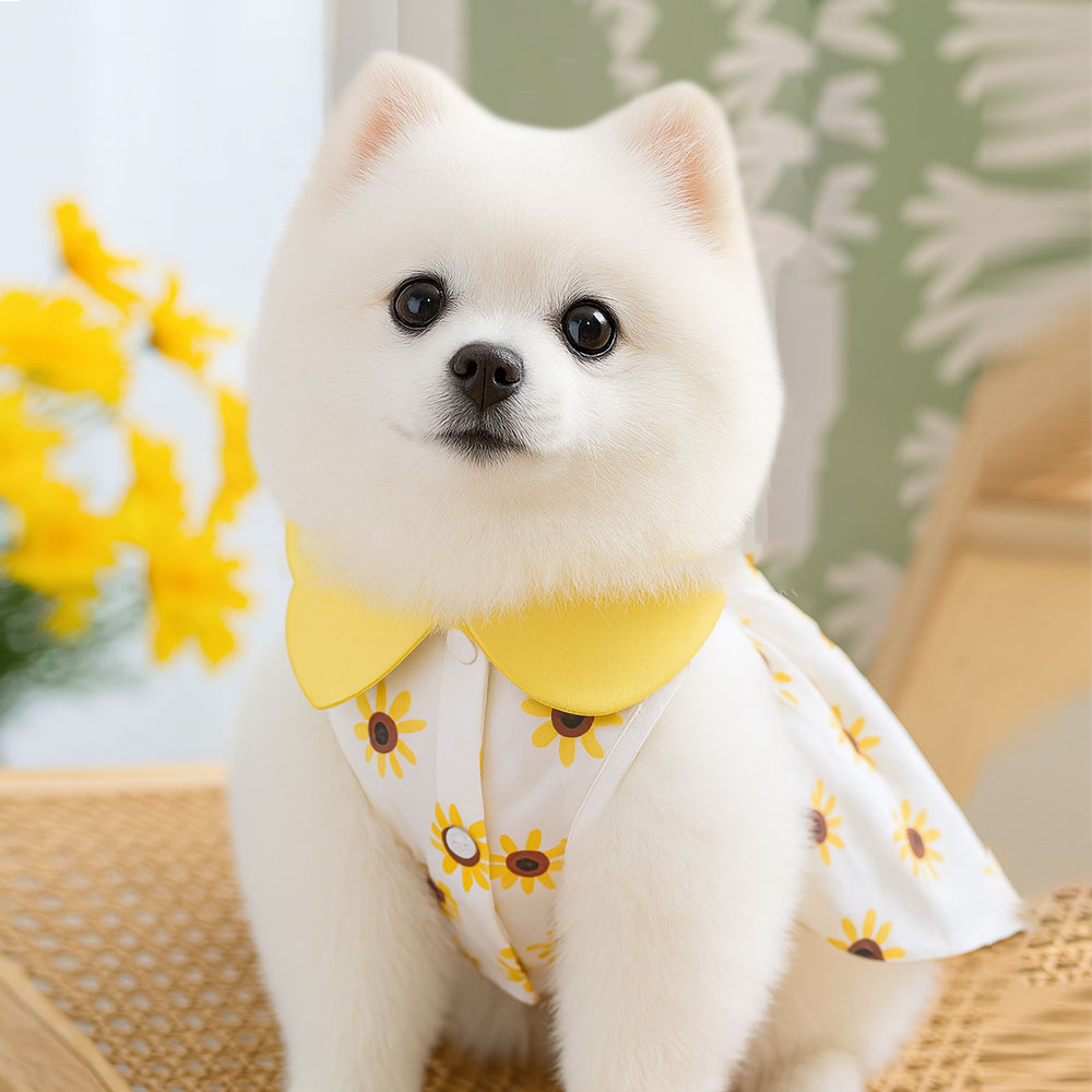 1020/ 해바라기 패턴 강아지 고양이 하네스고리 원피스 반려동물 애견 펫 댕댕이옷 이미지 6