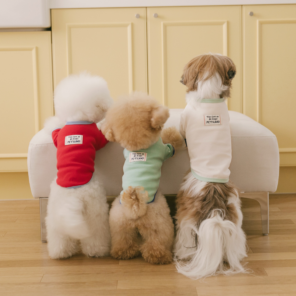 강아지 실내복 봄옷 강아지옷 소형견 티셔츠 큐티라벨 제품 이미지