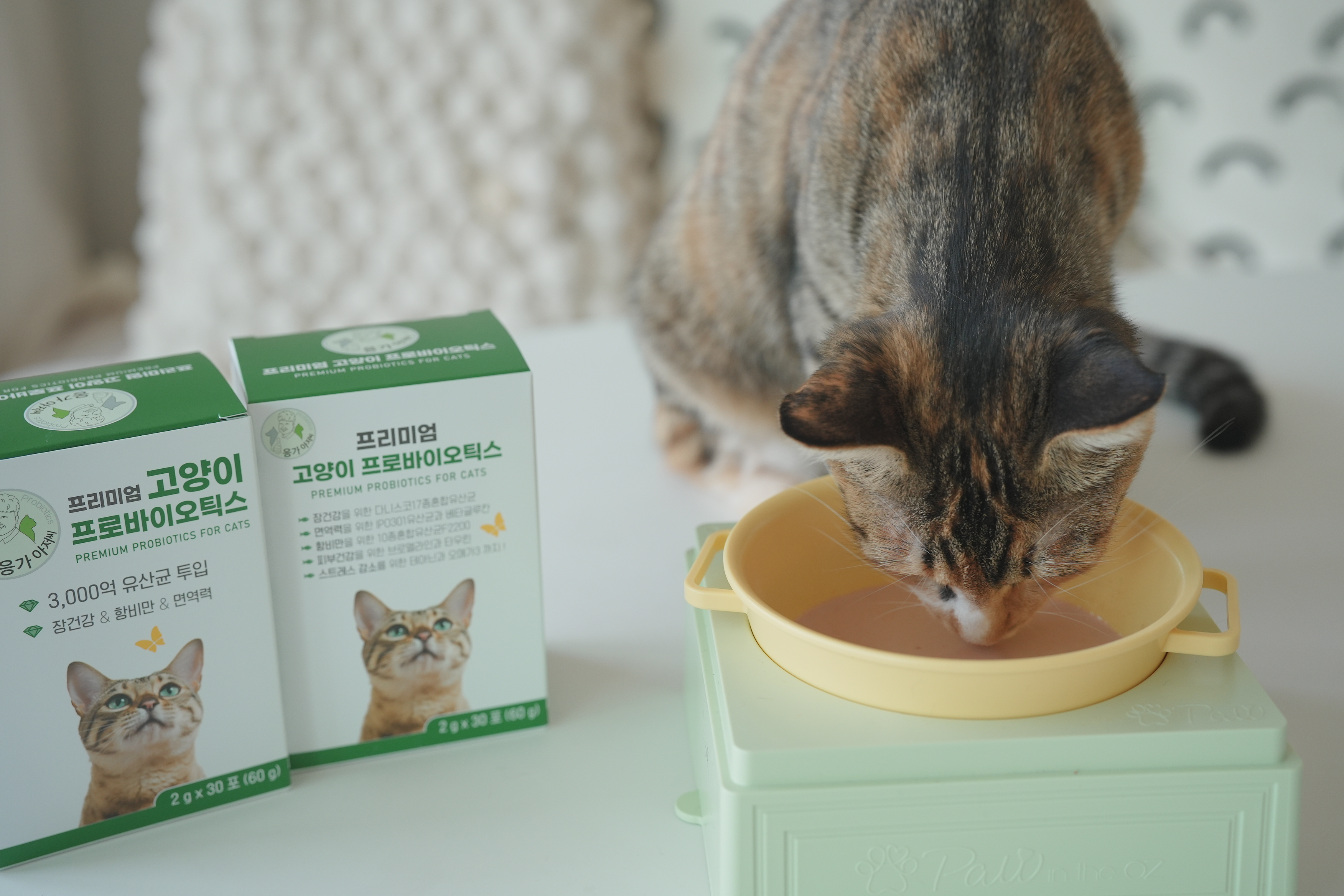 응가아저씨 고양이 프로바이오틱스 30포+30포 3000억 설사변비 항비만 면역력 유산균