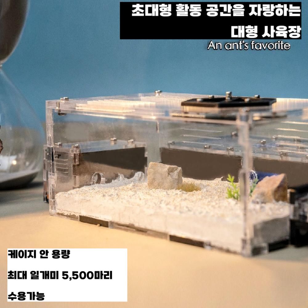 아크릴 개미집 대형 개미 사육장 개미굴 앤트하우스 개미관찰키트 / 메인네스트 단품 - 상세 이미지 3