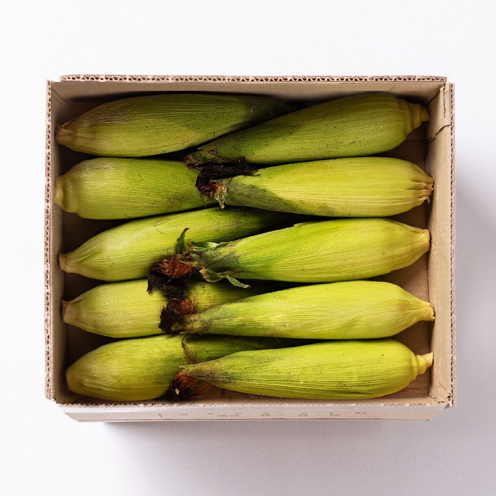 국산 찰옥수수 옥수수 생찰옥수수