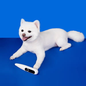 우다다 강아지 고양이 미니 클리퍼 애견 미용 발바닥 바리깡 이발기 솔직 후기 | 실제 사용자 리뷰 총정리 - 상품 이미지 4