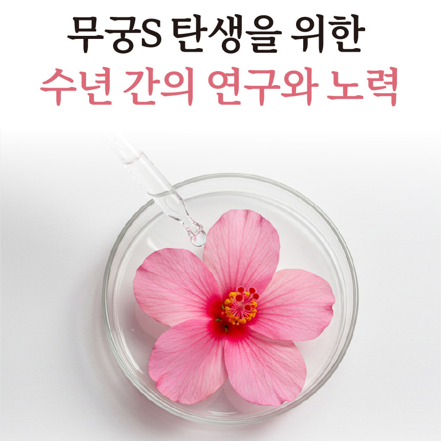 무궁화핏 하와이 무궁화 먹는법 효능 60정 2개월분 - 상세 이미지 3