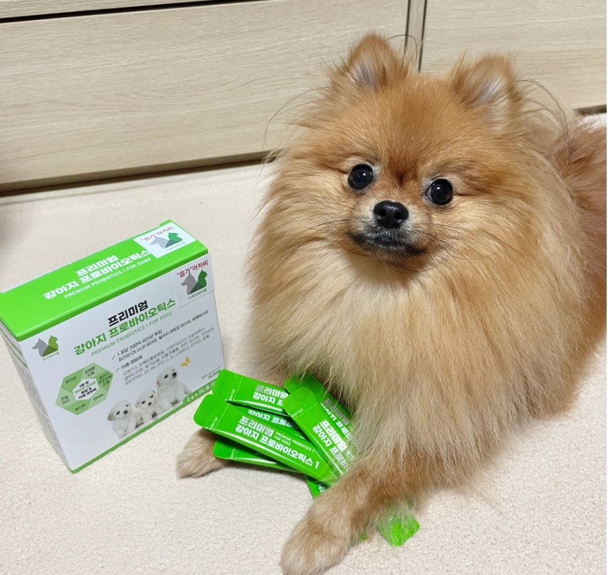 응가아저씨 프리미엄 강아지 프로바이오틱스 30포+30포 장건강 알러지 6000억 유산균 - 상세 이미지 5