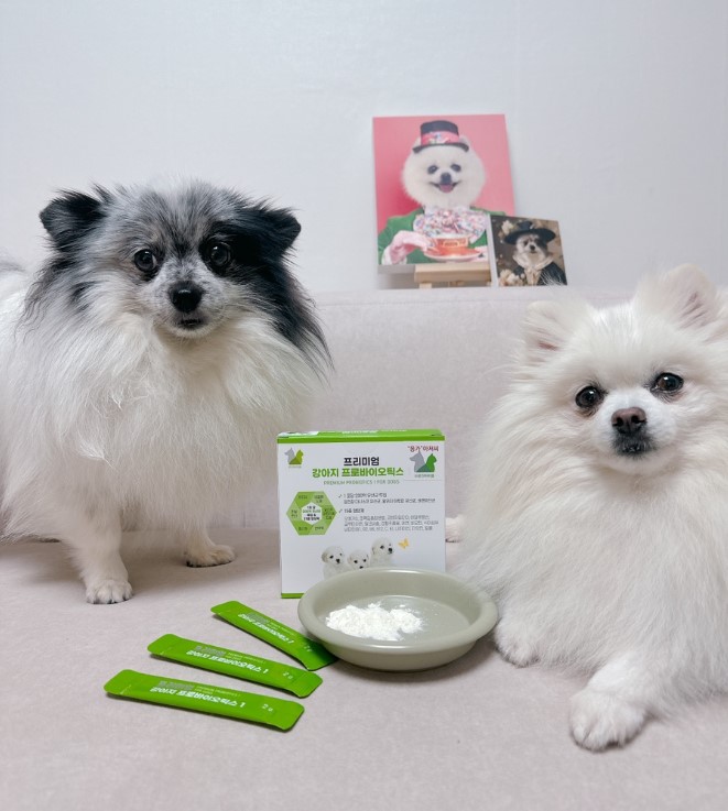 응가아저씨 프리미엄 강아지 프로바이오틱스 30포+30포 장건강 알러지 6000억 유산균 - 상세 이미지 4