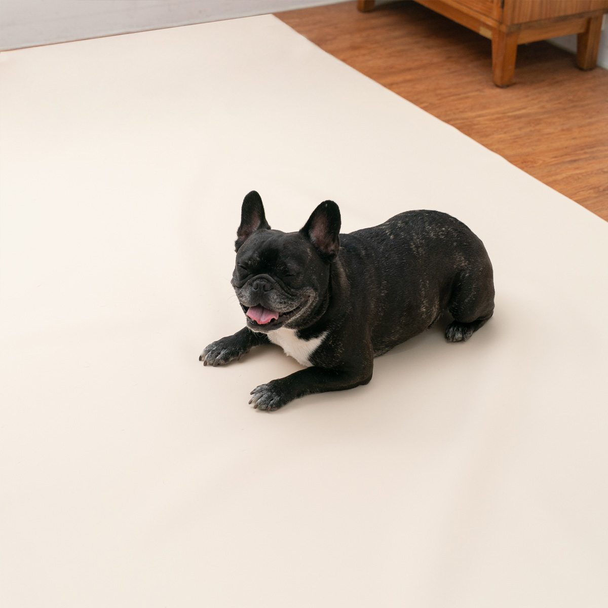 개놀자 슬림 실리콘 강아지 롤매트 애견 고양이 미끄럼방지 매트 아이보리, 140x500cm