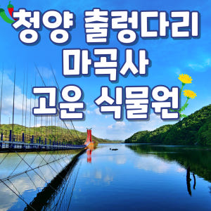 KTX 청양 천장호 출렁다리 고운식물원 마곡사 당일치기 기차여행 중식 포... 솔직 후기 | 실사용자 리뷰 분석 - 상품 이미지 1
