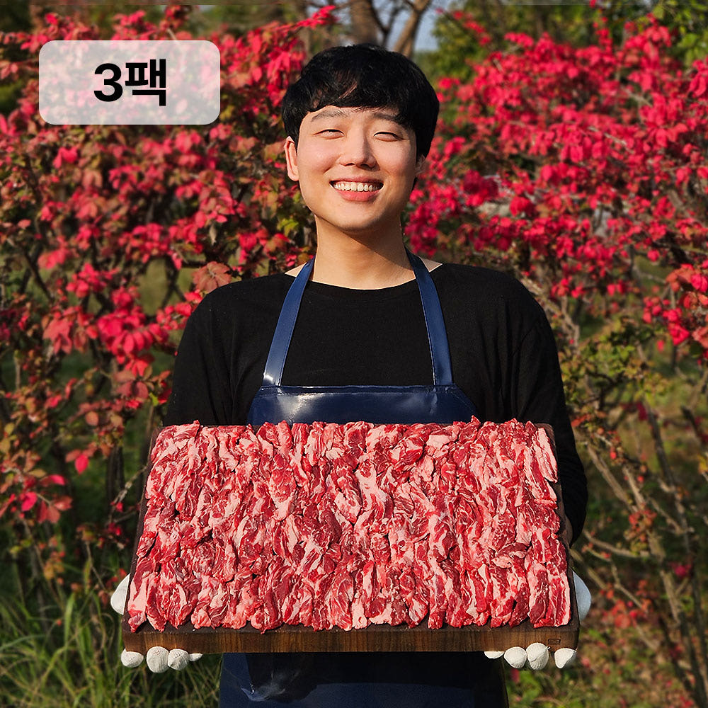 갈비살 600g