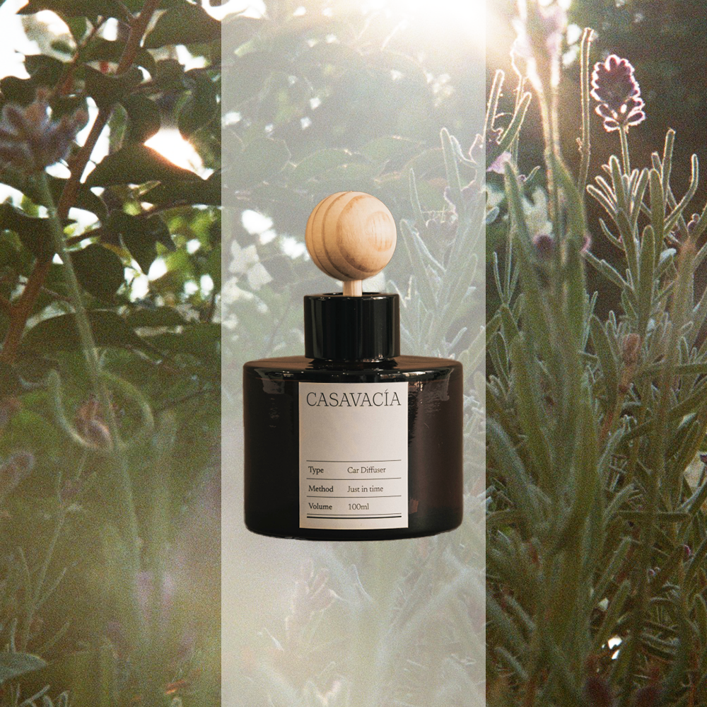 본조르노 차량용 방향제 차량 디퓨저 Eau de Parfum(25%)