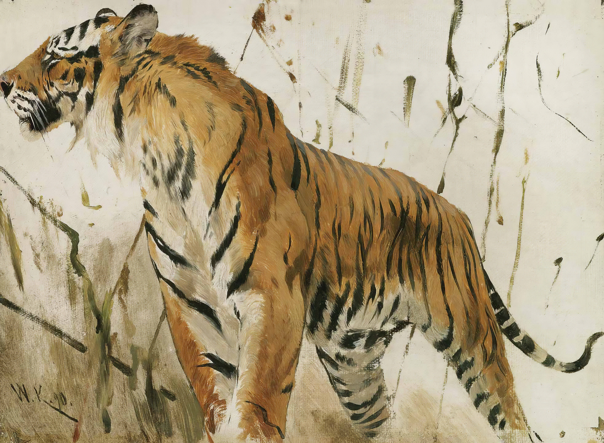 Study Of A Tiger 원본비율 아트포스터 쿠너트 - 상품 이미지