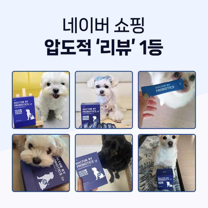 닥터바이 강아지 유산균 프로바이오틱스 장건강 영양제 장+면역, 30포, 1개 사진 3