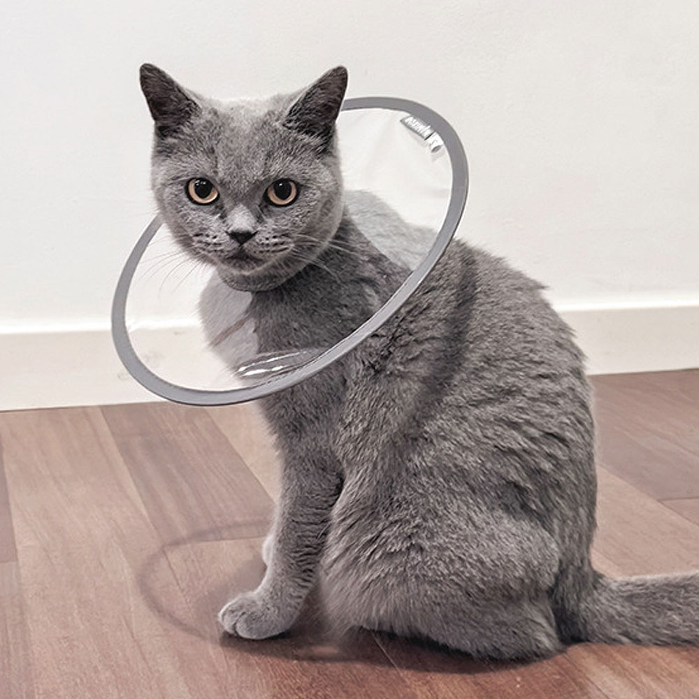 크레용펫 강아지 고양이 넥카라 UFO 초경량 여름 - 상품 이미지