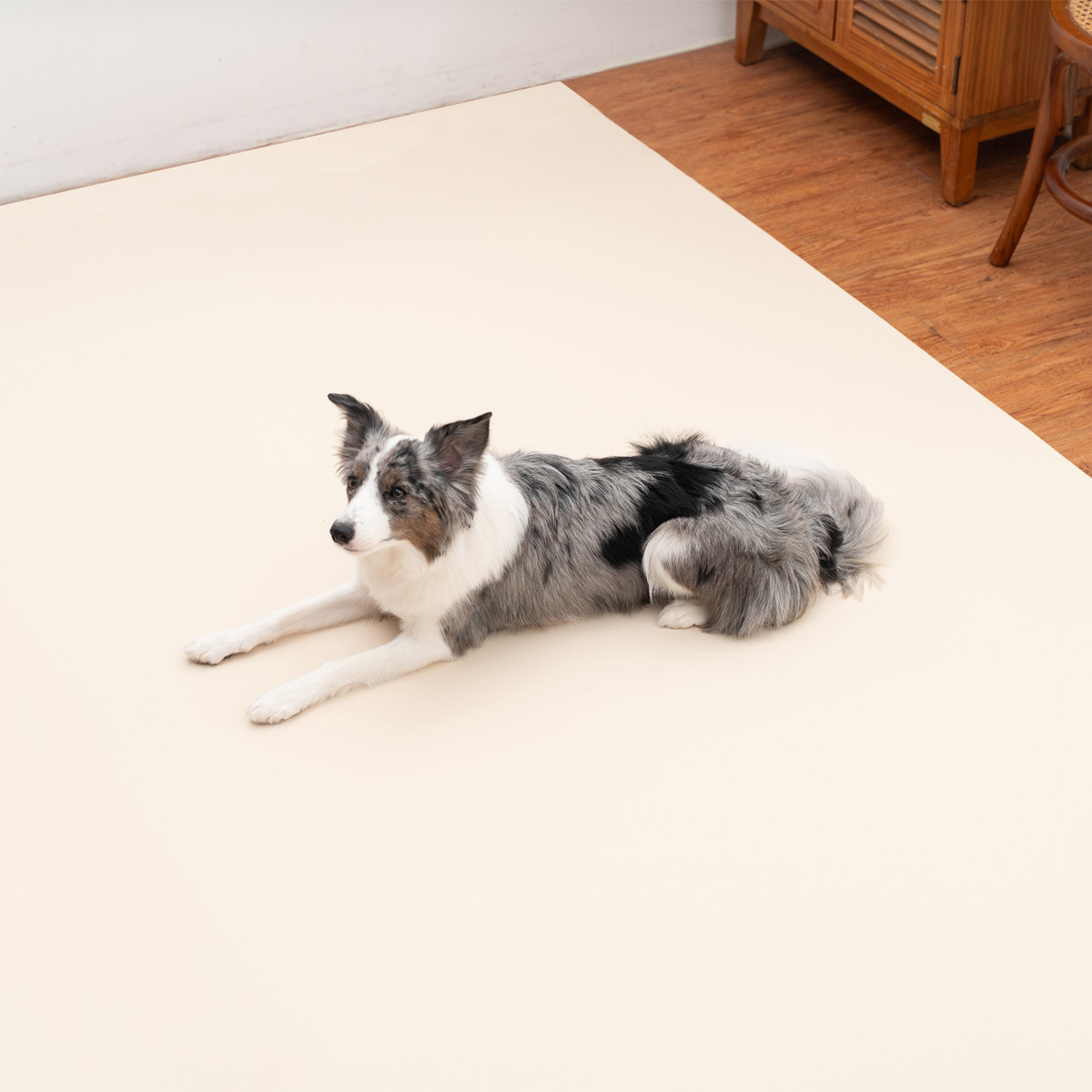 개놀자 슬림 실리콘 강아지 롤매트 애견 고양이 미끄럼방지 매트 아이보리, 110x500cm