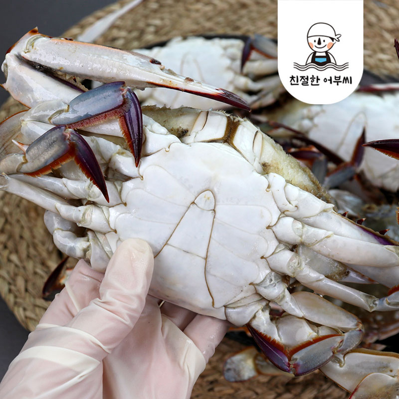 냉동 꽃게 급냉 국산 제철 숫꽃게 2kg 수산물이력제 친절한어부씨 - 상세 이미지 2