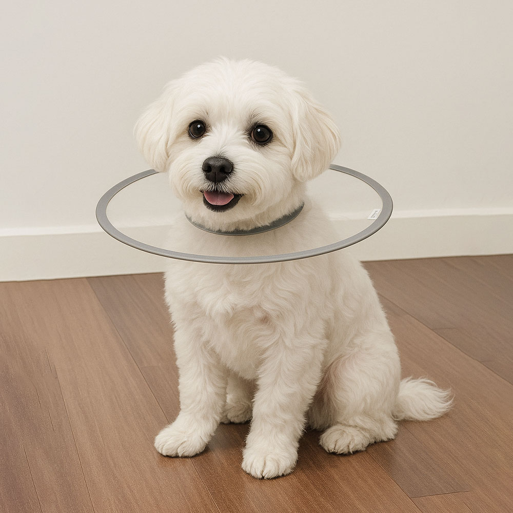 크레용펫 강아지 고양이 넥카라 UFO 초경량 여름 - 상세 이미지 2