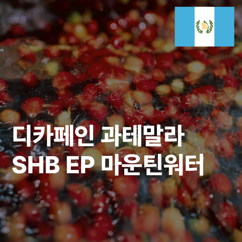 [커피생두]  디카페인 과테말라 마운틴워터 SHB EP 1kg, 2개