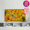 가성비 LG 43인치 TV 정면