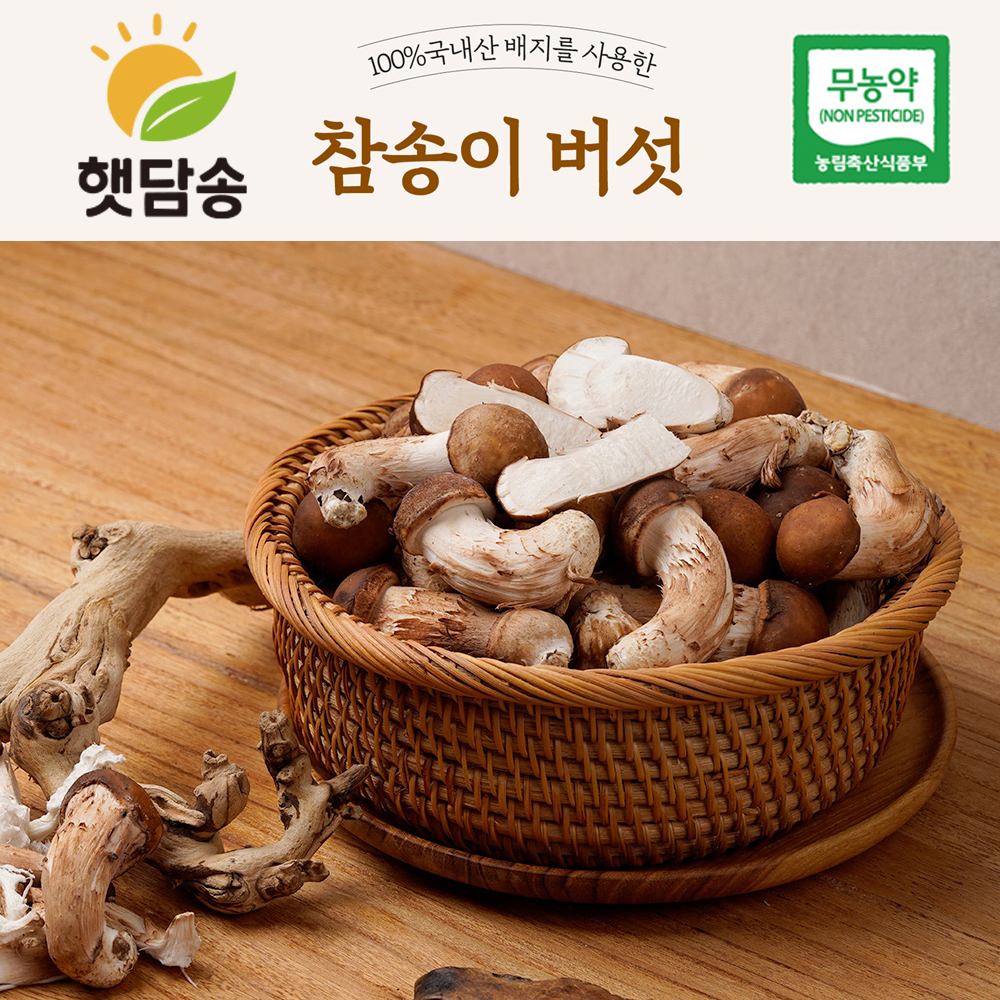 [햇담송]무농약 국내산 참송이버섯 중대사이즈 300g 대형마트 품질그대로 - 상세 이미지 3