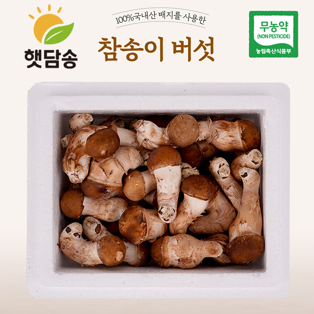 [햇담송]국내산 친환경 참송이버섯 3등급 2등급 대사이즈 500g 1kg 송화 버섯 무농약 - 상품 이미지