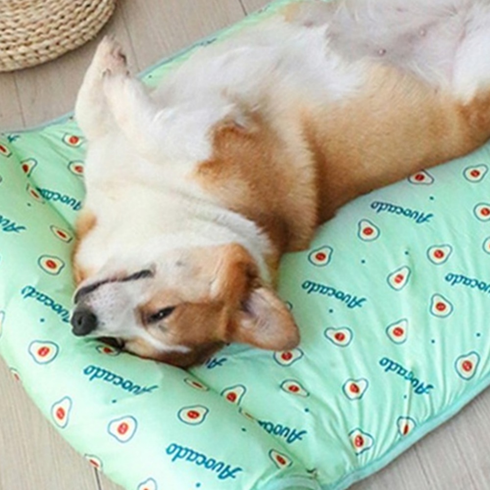 박대표마켓 반려동물용 쿨매트 강아지 고양이 여름 쿨링패드 논슬립 방석 필로우 - 상품 이미지