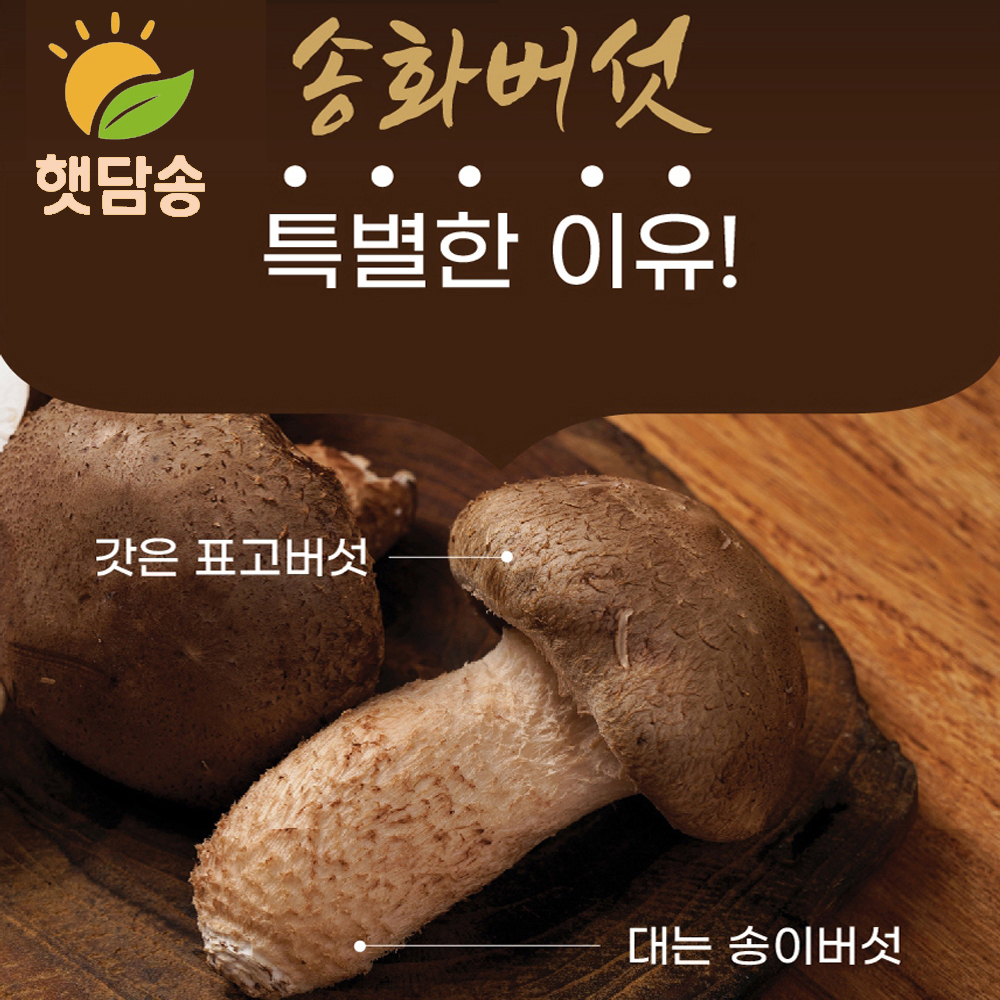 햇담송화 버섯영양밥 3종 곤드레 취나물 슬라이스 30g 4팩 12인분 무농약송고버섯 나물밥 이미지 8