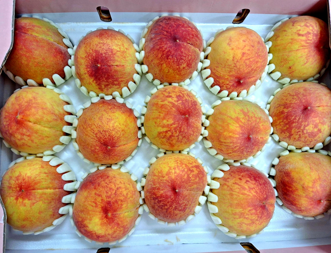 서왕모 백도 엘바트 단금도 키라라 황도 말랑이 복숭아 2kg 4kg