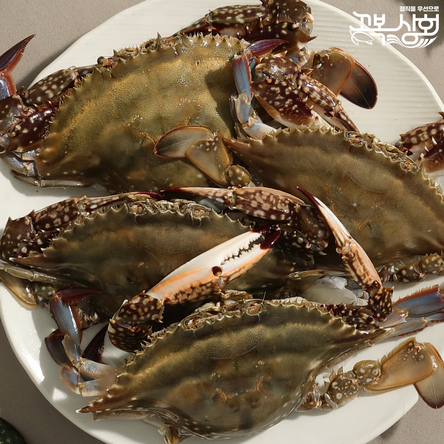 25년 5월 조업 알배기 연평도 암꽃게 1kg 10kg 급냉 제철 살과 알이 게딱지까지 [꼬복상회] - 상세 이미지 3
