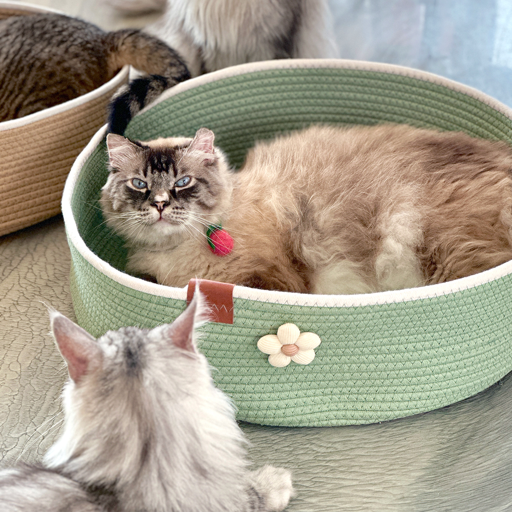 고양이 바구니 고양이 숨숨집 하우스 텐트 동굴 강아지 집