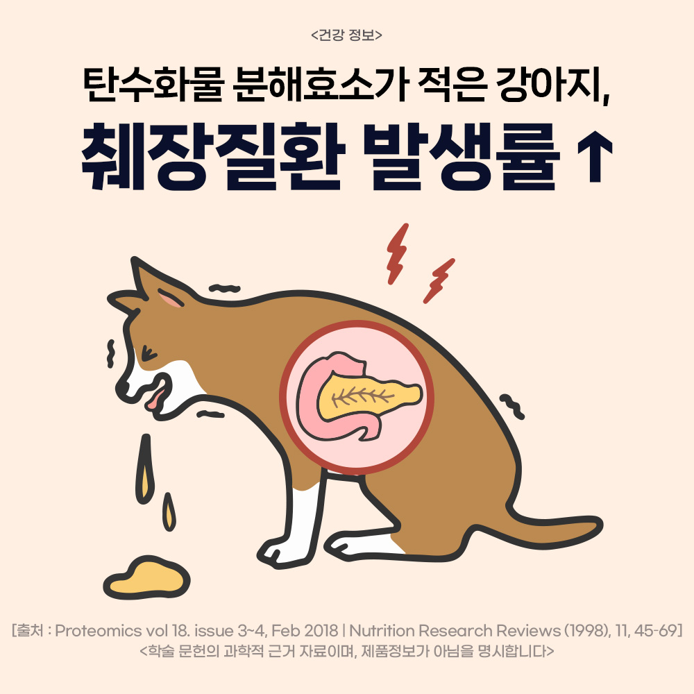 닥터바이 엔자임 강아지 소화 효소 소화불량 췌장영양제 30포, 1개